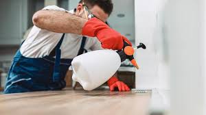 Best Residential Pest Control  in Indian Shores, FL